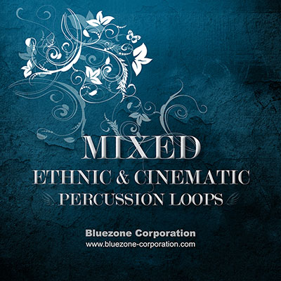 Download Mixed Ethnic and Cinematic Percussion Loops Sample Library