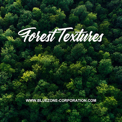 Forest Textures