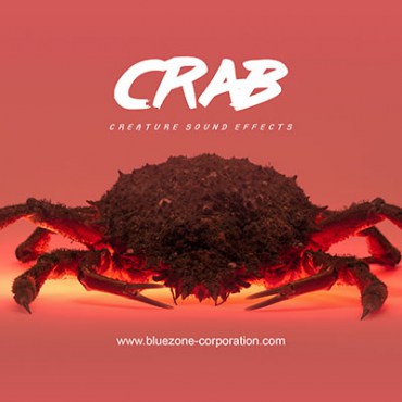155 crab sound effects: Walking, clicking, digging and eating sounds, claws, carapace and shell textures