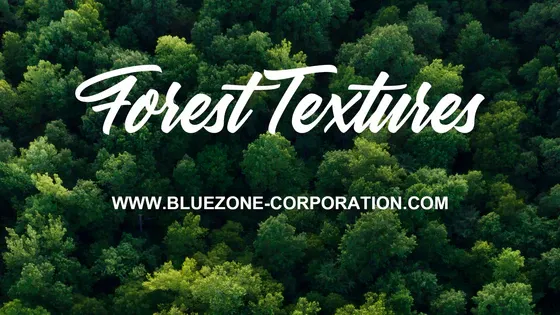 forest_textures_560X315.webp